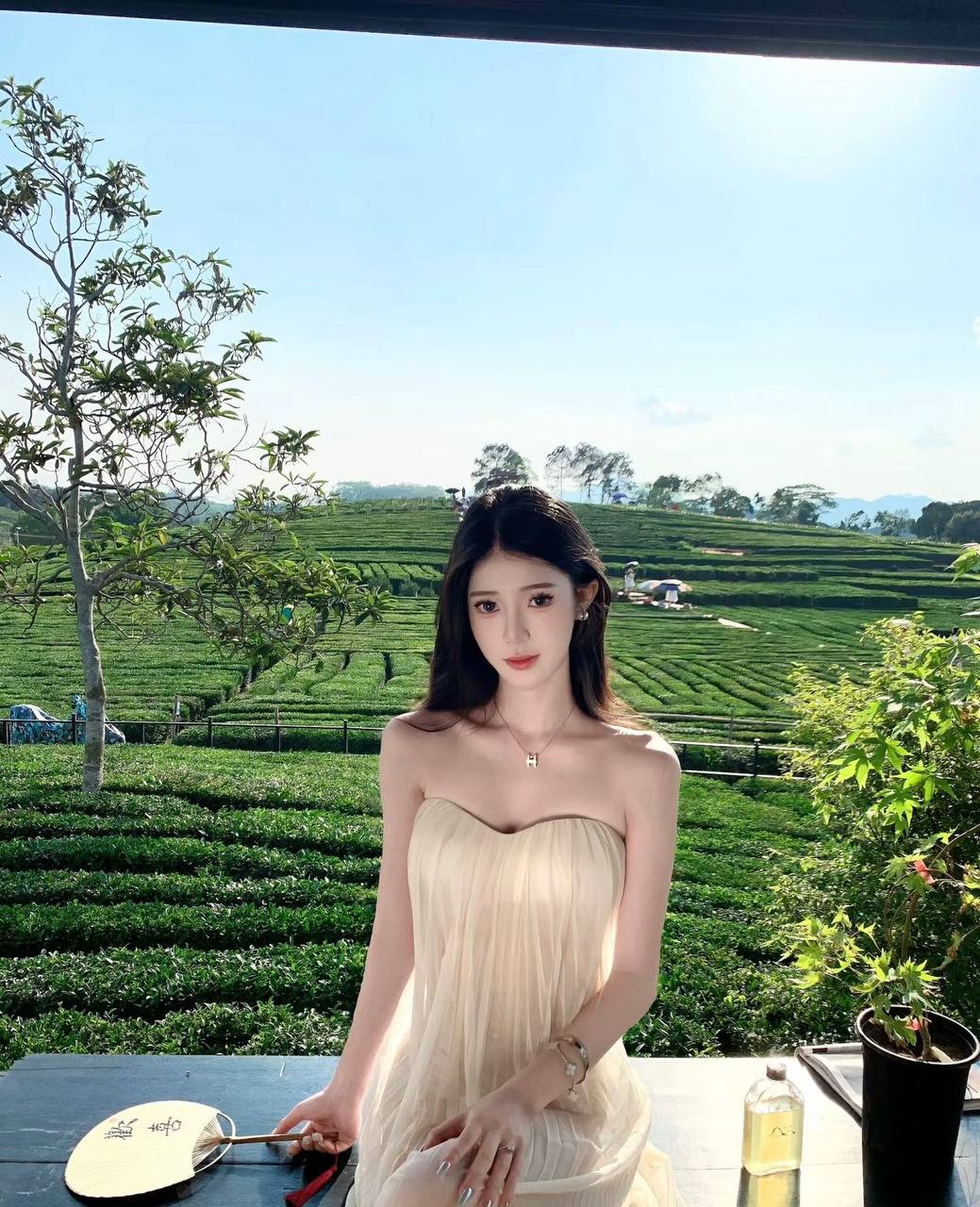 优雅风美女知知