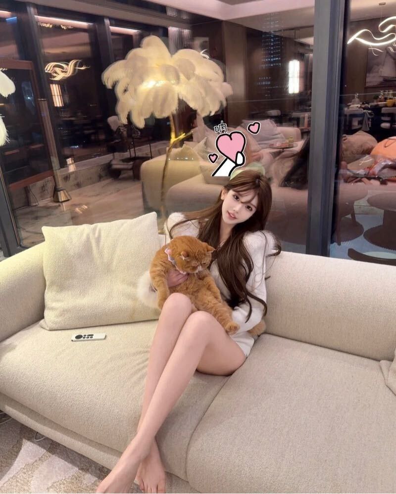 温柔体贴白月光克拉